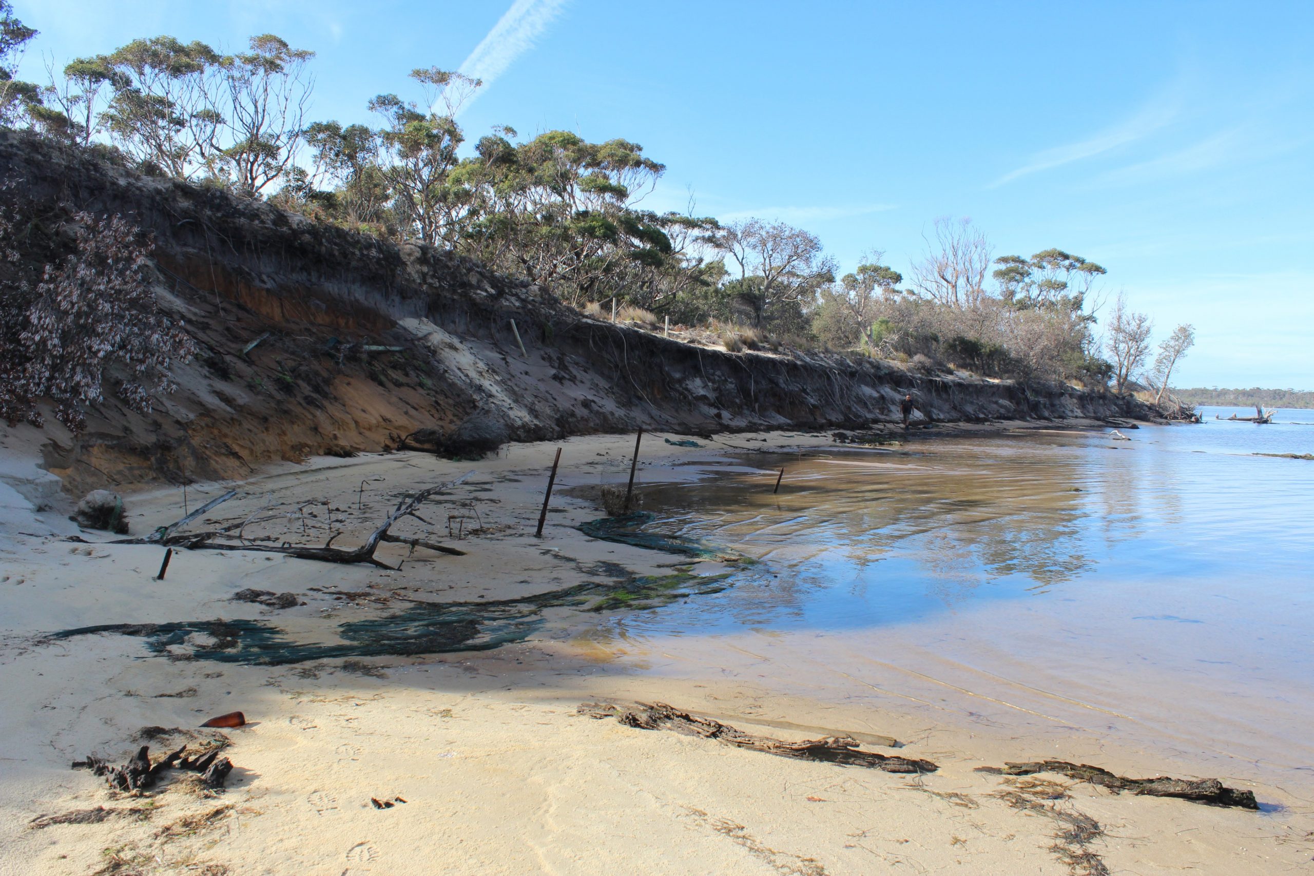 Round Head shoreline erosion mitigation and restoration project