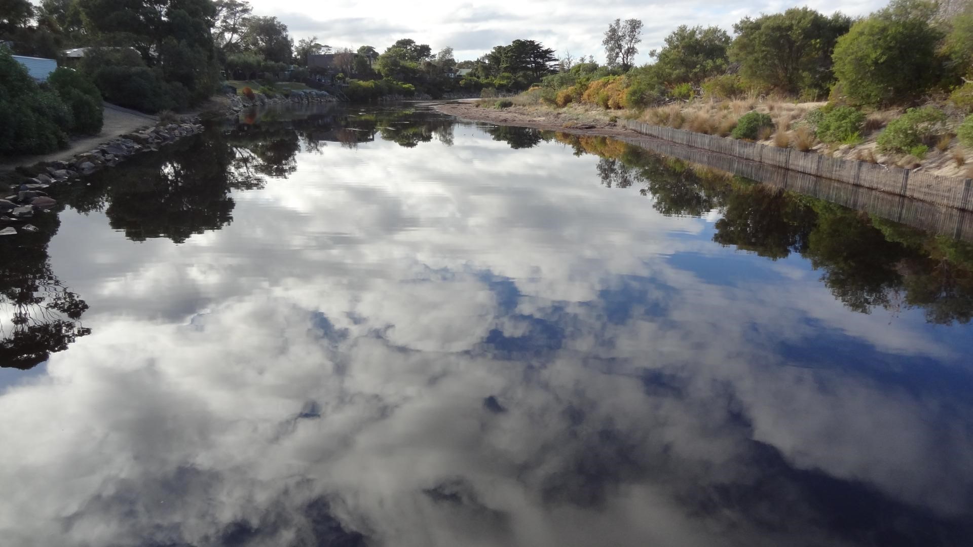 Merricks Creek Estuary investigation and options analysis