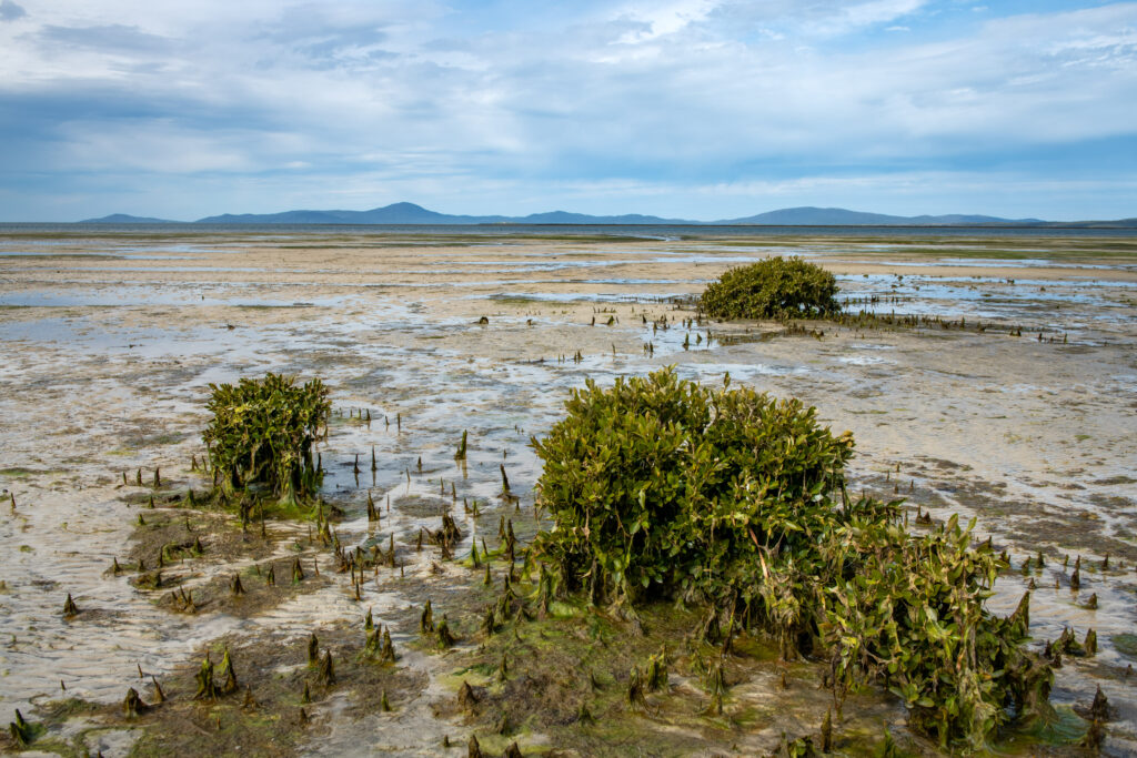 Multiple benefits of ownership and management of water by Traditional Owners