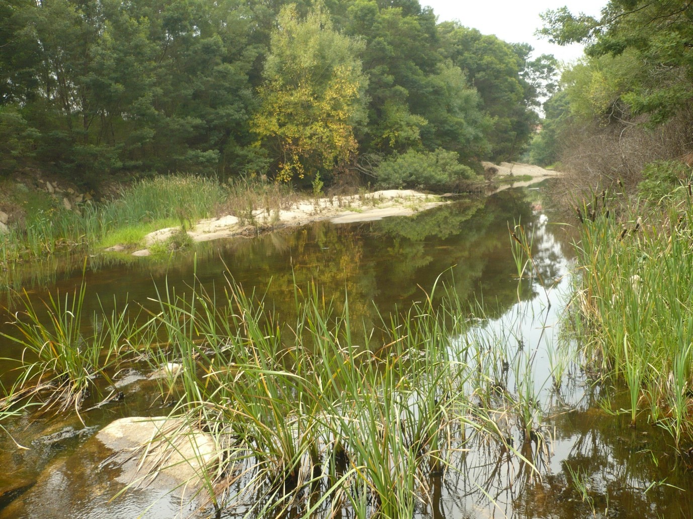 Restoring Australian rivers by understanding and mimicking nature
