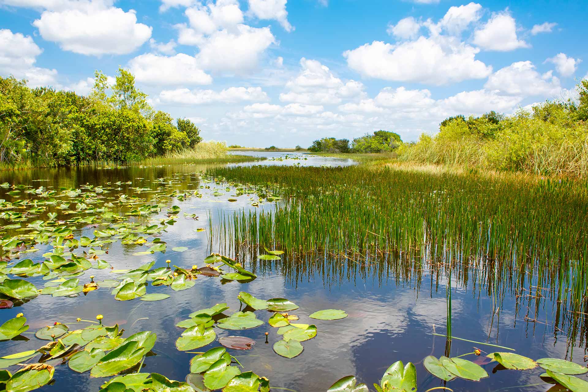 Enabling higher environmental flow delivery and floodplain inundation in the Murray Darling Basin