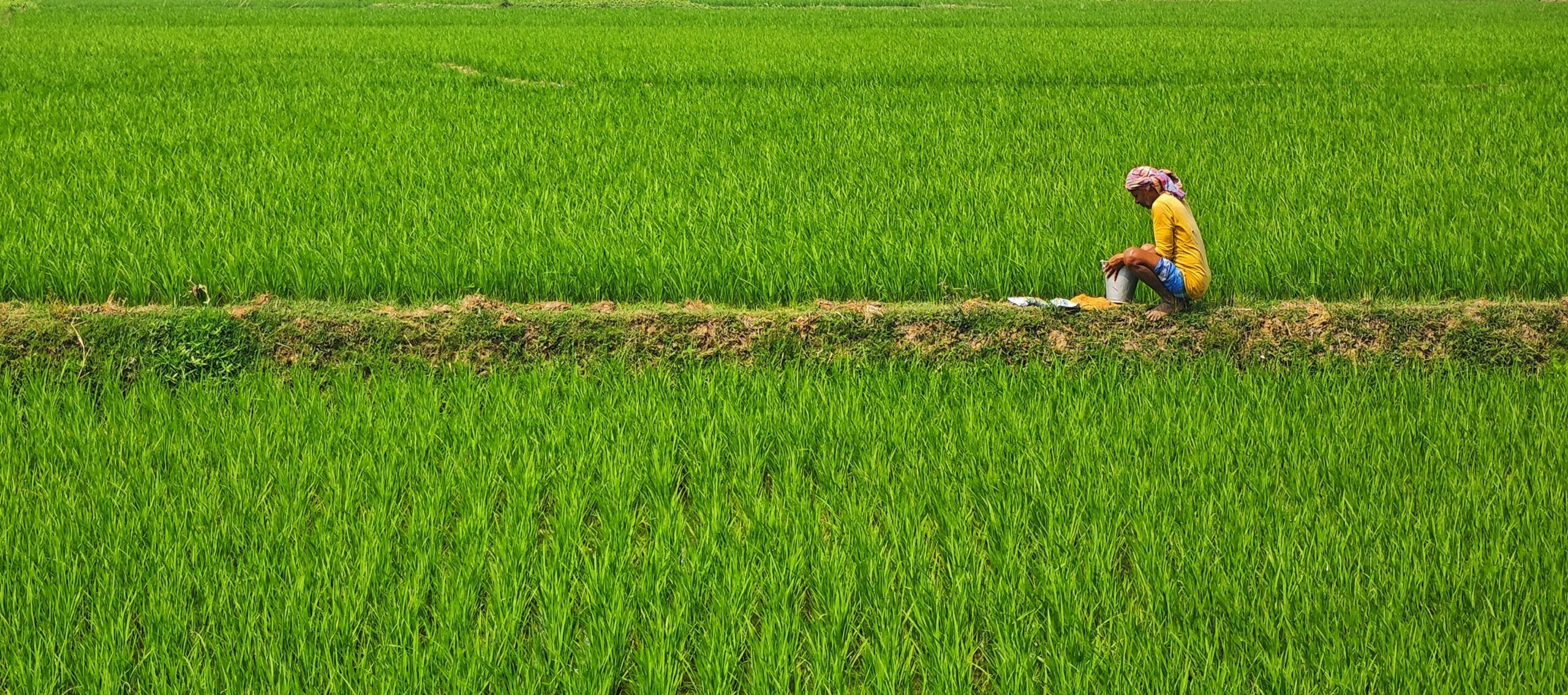 Evaluation of World Bank irrigation investments in West Bengal, India
