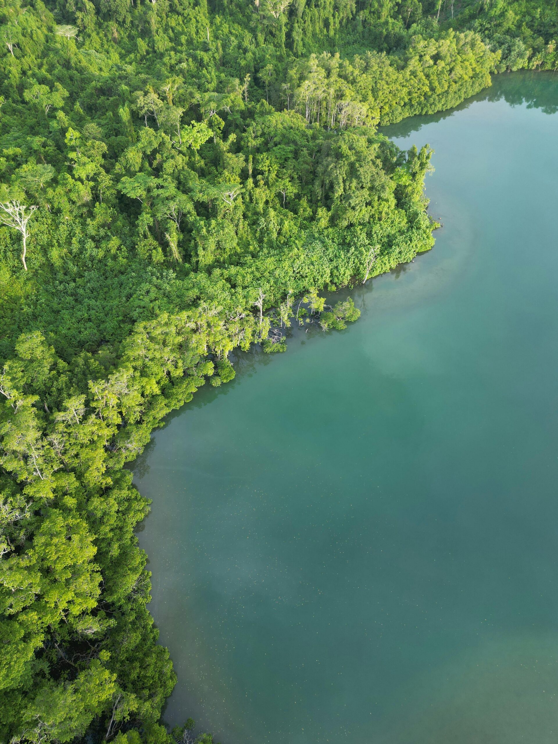 Assessing climate-resilient water supplies in Micronesia